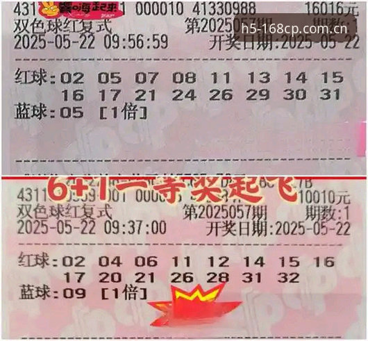 彩票投注平台对比 为什么彩票投注平台对比中,168CP能成为理性玩家的优选?