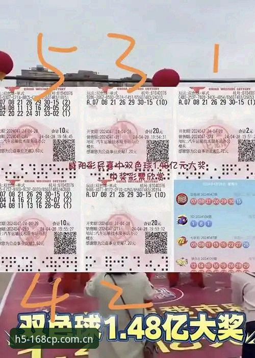 彩票手机版常见问题有哪些？如何解决投注后的开奖查询困扰？